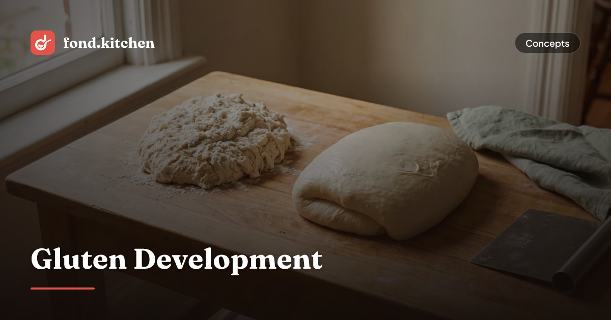 Develop Bread Gluten Development in Bread: How It Works, Timing & Tests | Fond